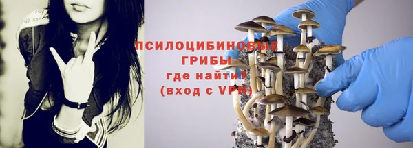 apvp Армянск