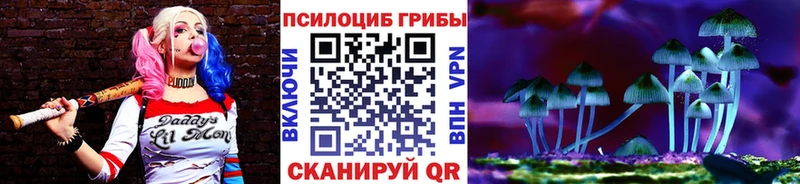 Псилоцибиновые грибы Cubensis  как найти   Талица 